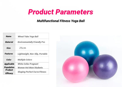 Yoga Pilates Explosion-Proof Ball Exercise Gymnastic Fitness Balance Gym Core Indoor Training Mini Balls Small Therapy Improves - GabyFit Goods