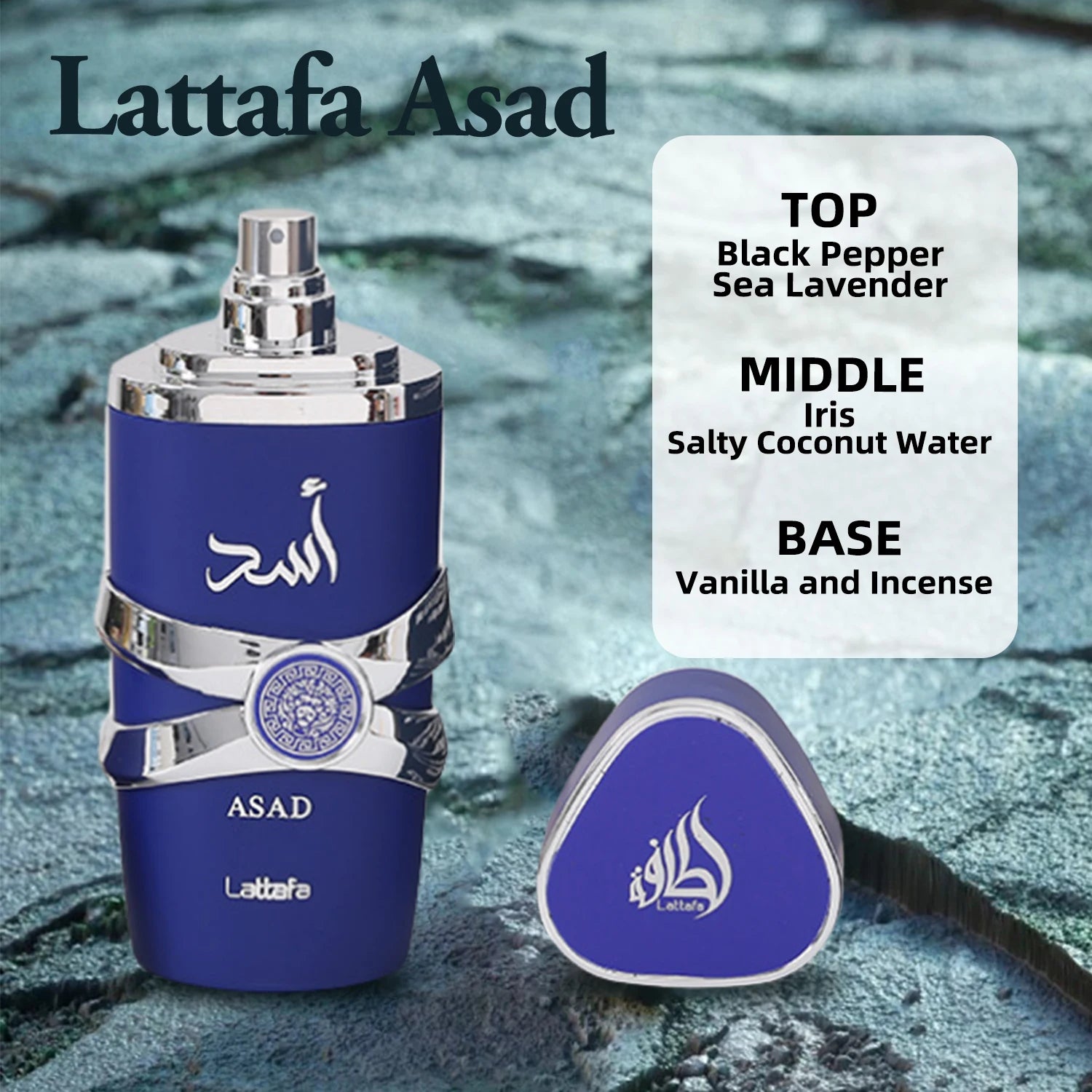 Lattafa Asad Bourbon Original Arab Perfumes Lattafa Yara Perfume Women Eau De Parfum High Quality Arabian Perfume For Women Men - GabyFit Goods