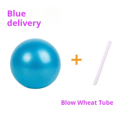 Pilates Yoga Ball Mai Pipe Ball PVC Explosion-proof matte 25cm Mini Ball Gymnastics Balance Fitness Hip Ball - GabyFit Goods