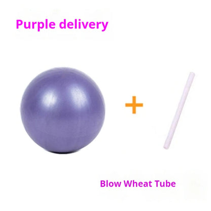 Pilates Yoga Ball Mai Pipe Ball PVC Explosion-proof matte 25cm Mini Ball Gymnastics Balance Fitness Hip Ball - GabyFit Goods