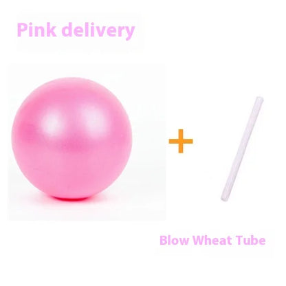 Pilates Yoga Ball Mai Pipe Ball PVC Explosion-proof matte 25cm Mini Ball Gymnastics Balance Fitness Hip Ball - GabyFit Goods